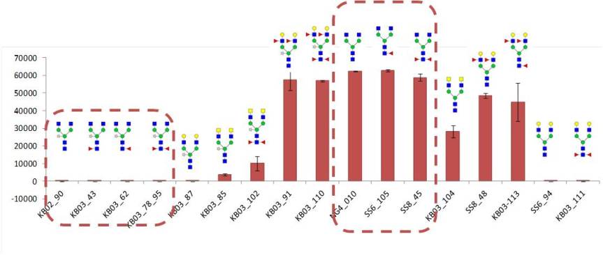 interaction with DC-SIGN