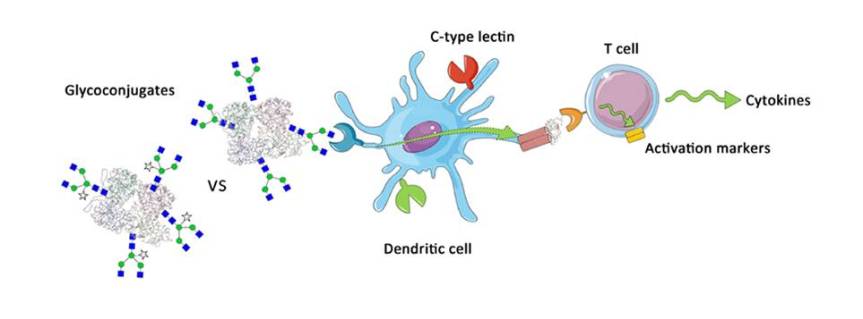 TOC ACS Chem Bio 2016