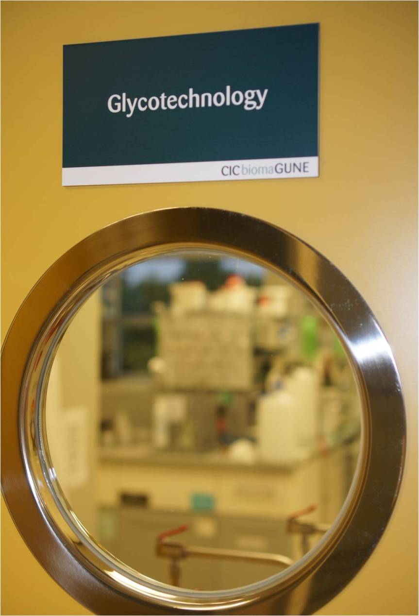 annual report 2016 cover